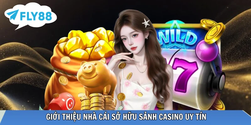 Những điều bạn cần biết về sòng bài trực tuyến FLY88 