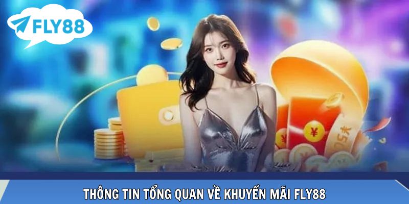 Tổng quan hệ thống khuyến mãi minh bạch